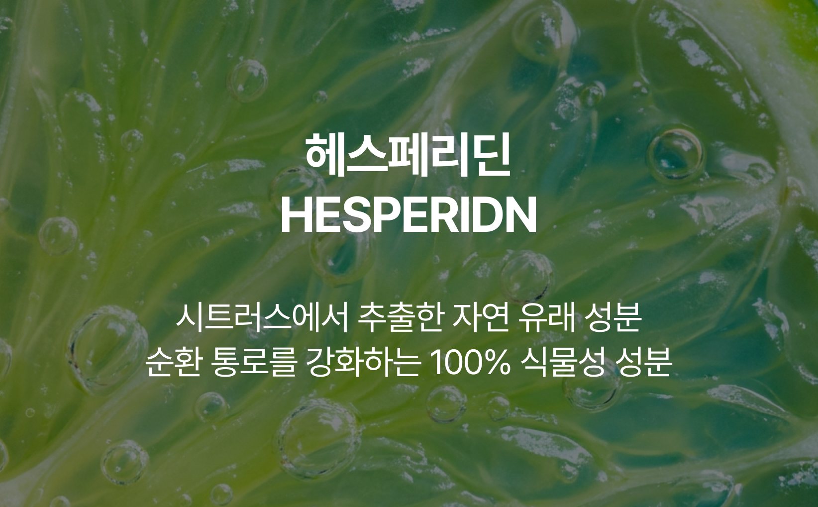 헤스페리딘 HESPERIDIN